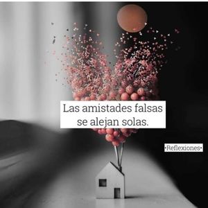 Meet your Posher, Roberto